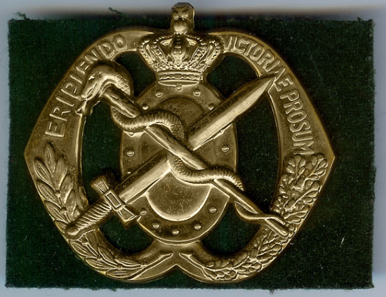 Eriepiendo Victori Prosum